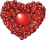 fruit-heart picture of fruit heart